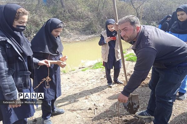 کاشت ۳۱۳ اصله نهال (هردانش‌آموز یک نهال)در روز درختکاری