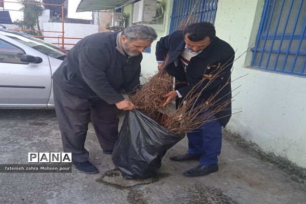 کاشت ۳۱۳ اصله نهال (هردانش‌آموز یک نهال)در روز درختکاری