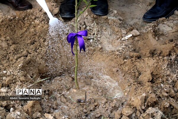 کاشت نهال در دبستان شهدای مدافع سلامت در بوشهر
