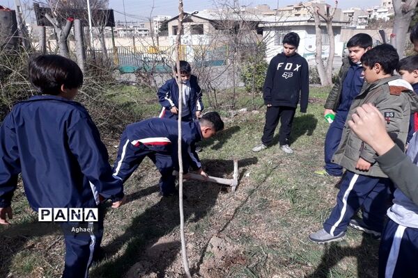 کاشت نهال در روز درختکاری توسط دانش‌آموزان دبستان علوی منطقه ۱۳