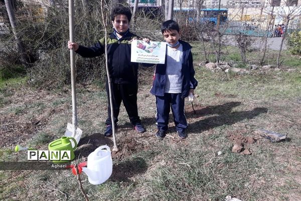 کاشت نهال در روز درختکاری توسط دانش‌آموزان دبستان علوی منطقه ۱۳