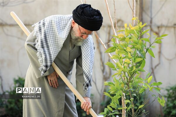 کاشت نهال توسط رهبرمعظم انقلاب در روز درختکاری
