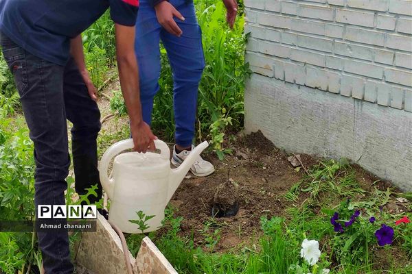 آیین نمادین درختکاری در مدارس کارون