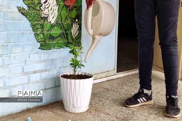 آیین نمادین درختکاری در مدارس کارون
