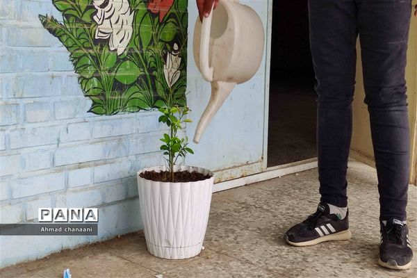 آیین نمادین درختکاری در مدارس کارون