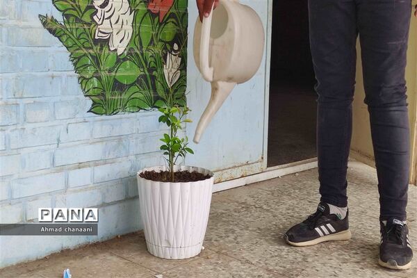 آیین نمادین درختکاری در مدارس کارون