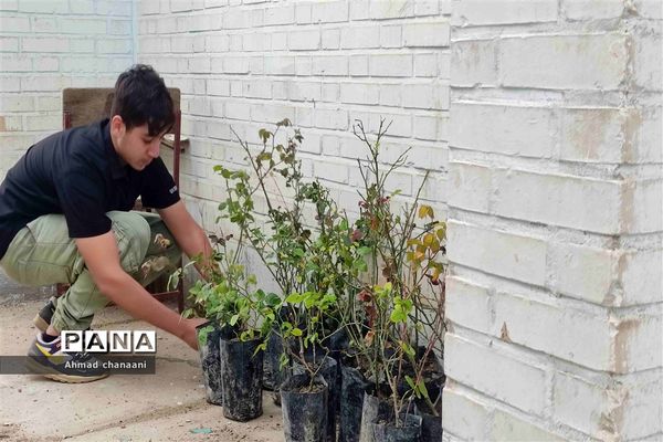 آیین نمادین درختکاری در مدارس کارون