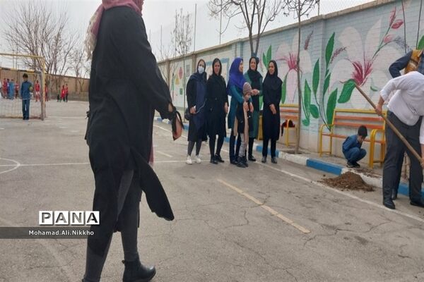 درختکاری در مدرسه حضرت مهدی(عج) پاکدشت