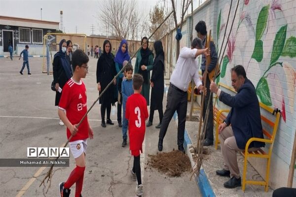 درختکاری در مدرسه حضرت مهدی(عج) پاکدشت