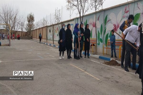 درختکاری در مدرسه حضرت مهدی(عج) پاکدشت