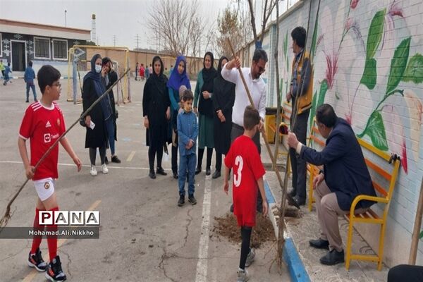 درختکاری در مدرسه حضرت مهدی(عج) پاکدشت