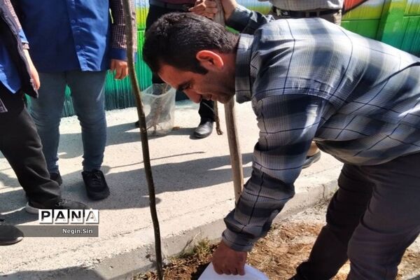 برگزاری روز درختکاری در دبستان شهید حسن جعفری پاکدشت