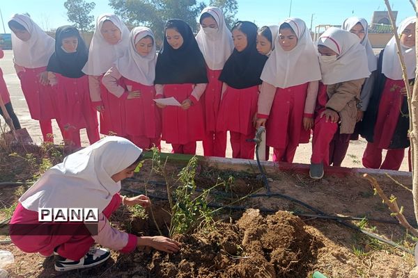 کاشت نهال در مدارس ابرکوه به مناسبت روز درختکاری