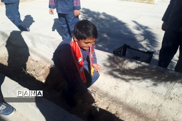 کاشت نهال در مدارس ابرکوه به مناسبت روز درختکاری