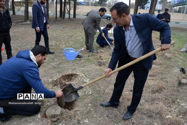 کاشت صد و پنجاه نهال به مناسبت آیین استانی گرامیداشت روز درختکاری در شهریار