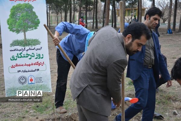 کاشت صد و پنجاه نهال به مناسبت آیین استانی گرامیداشت روز درختکاری در شهریار