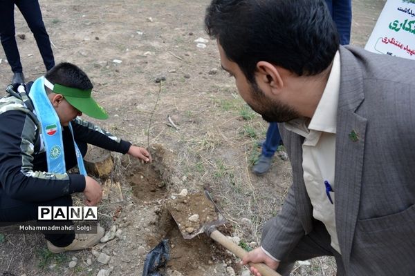 کاشت صد و پنجاه نهال به مناسبت آیین استانی گرامیداشت روز درختکاری در شهریار