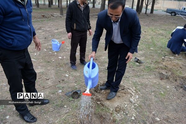 کاشت صد و پنجاه نهال به مناسبت آیین استانی گرامیداشت روز درختکاری در شهریار