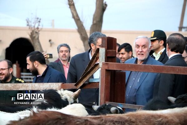 افتتاح دامداری 2900 رأسی در شهرستان قرچک با حضور استاندار تهران