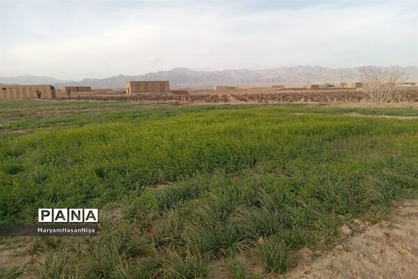 طبیعت اولین چیزی است که مژده آمدن بهار را به ما می‌دهد