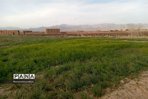 طبیعت اولین چیزی است که مژده آمدن بهار را به ما می‌دهد