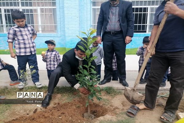 کاشت سایه‌بان امید‌ در دبستان پسرانه حافظ یک ناحیه یک یزد