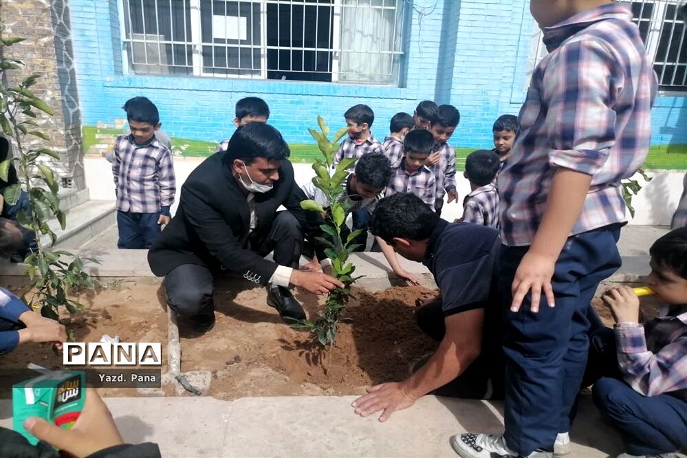 کاشت سایه‌بان امید‌ در دبستان پسرانه حافظ یک ناحیه یک یزد