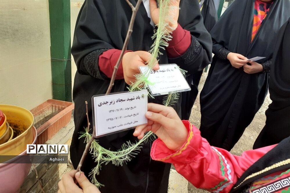 کاشت نهال به یاد شهدا توسط دانش‌آموزان منطقه ۱۳