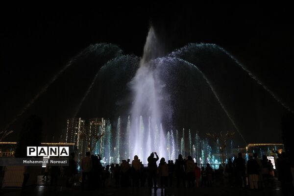 پایکوبی آب و نور در شب شکفتن گل نرگس