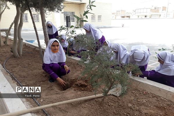 پویش درختکاری دبستان عفت ناحیه یک