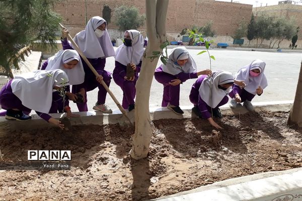 پویش درختکاری دبستان عفت ناحیه یک