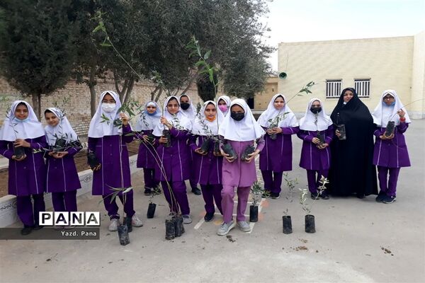 پویش درختکاری دبستان عفت ناحیه یک