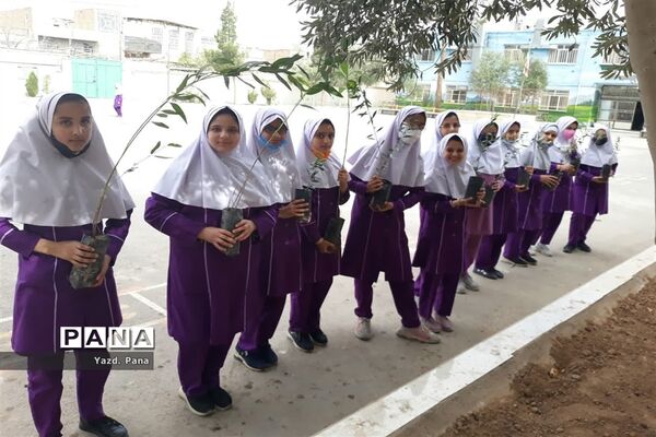پویش درختکاری دبستان عفت ناحیه یک