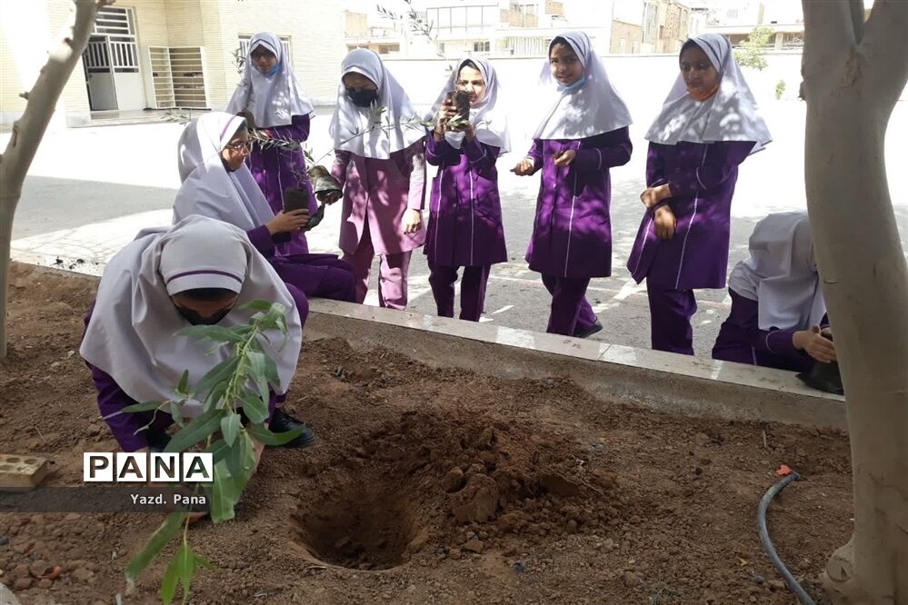 پویش درختکاری دبستان عفت ناحیه یک