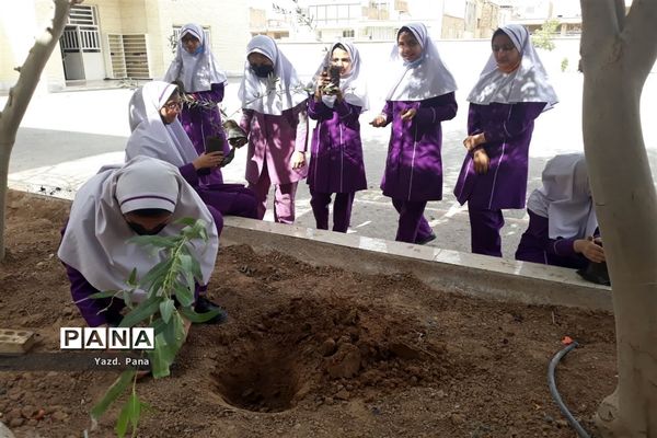 پویش درختکاری دبستان عفت ناحیه یک