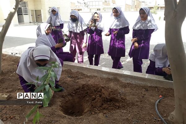 پویش درختکاری دبستان عفت ناحیه یک