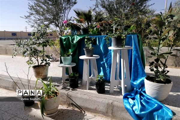 اهدا گلدان یا نهال به مناسبت‌ هفته درختکاری در دبیرستان نمونه برکت شهرستان خاتم