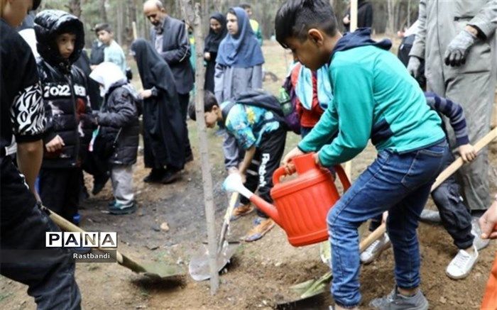 دستان پرمهر کودکان کار،٣ هزار نهال به زمین هدیه کردند
