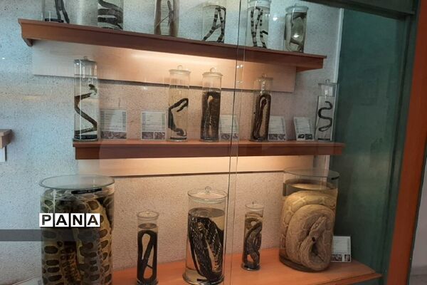 بازدید تخصصی  سرگروه‌های درسی آموزش وپرورش ناحیه 2 شهرری  از موسسه تحقیقاتی  واکسن و سرم سازی رازی