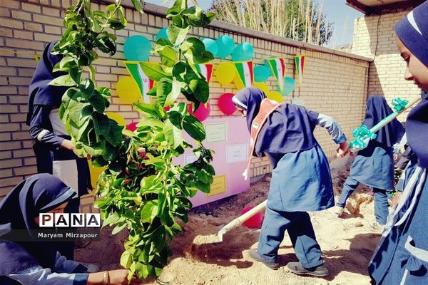کاشت نهال در مدارس فورگ