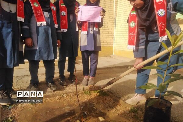 کاشت نهال در مدارس فورگ