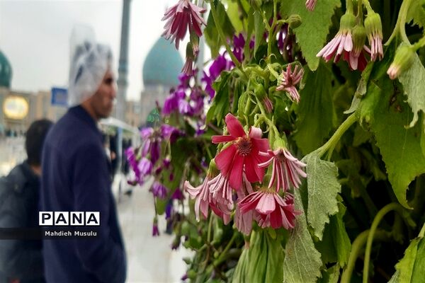 راهپیمایی مردم قم در هوای بارانی مسجد جمکران