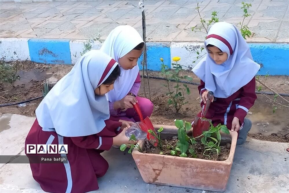 مدرسه با طراوت با طرح هر دانش‌آموز یک نهال
