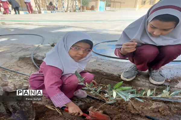 مدرسه با طراوت با طرح هر دانش‌آموز یک نهال