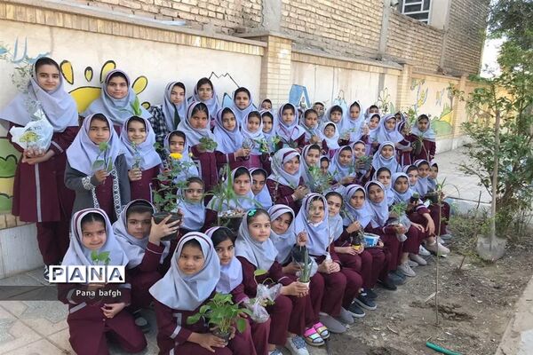 مدرسه با طراوت با طرح هر دانش‌آموز یک نهال