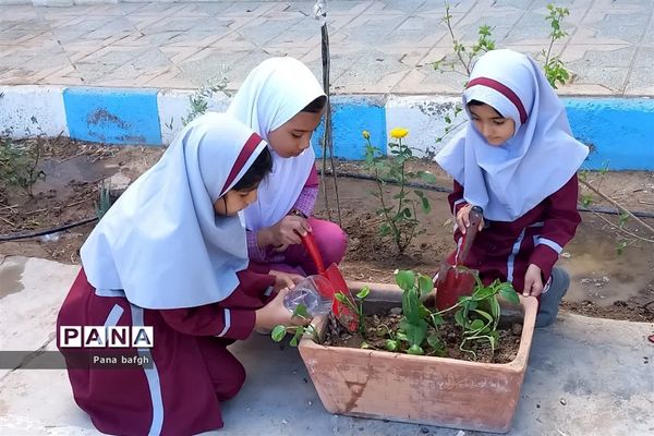 مدرسه با طراوت با طرح هر دانش‌آموز یک نهال
