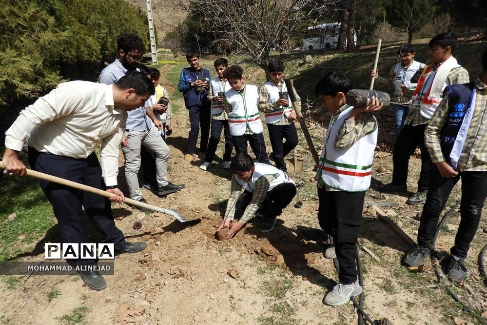 رکورد کاشت همزمان ۱۰۰ هزار درخت در دنیا شکسته شد