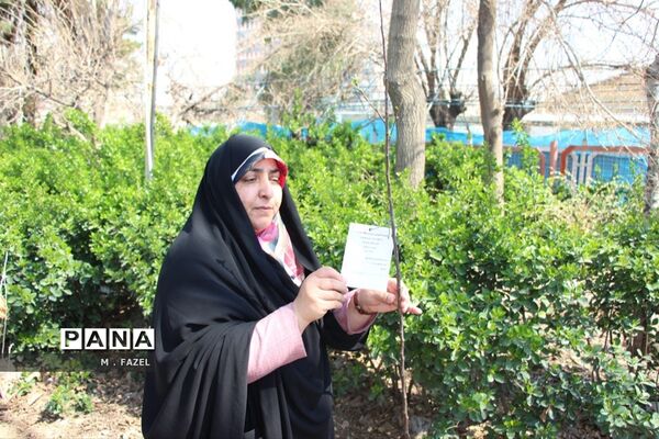 مراسم درختکاری به‌مناسبت گرامیداشت هفته منابع طبیعی اداره آموزش و پرورش منطقه 16