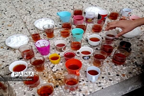 برگزاری اردوی درون مدرسه‌ای در دبستان شهید نواب صفوی