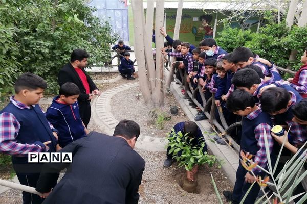کاشت نهال به یاد شهید متوسلیان در دبستان سید الشهدا ناحیه یک یزد